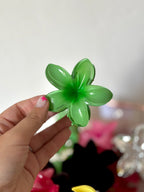 Pinza Hawaiana