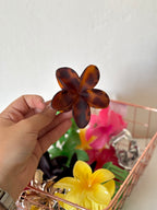 Pinza Hawaiana